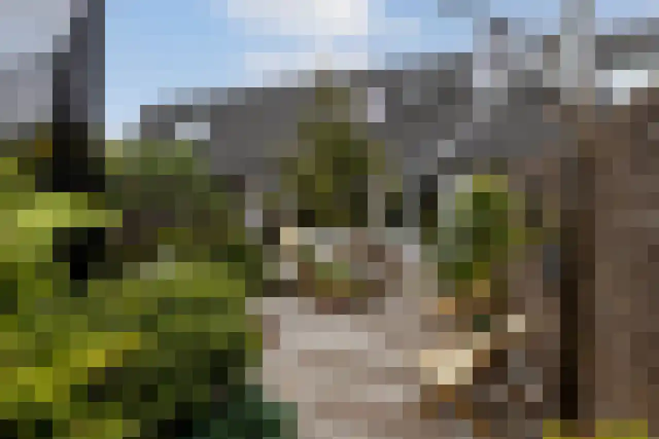 Opperland 4 Bergen op Zoom thumbnail 35