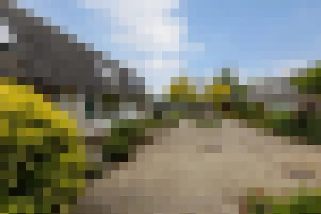Opperland 4 Bergen op Zoom thumbnail 43