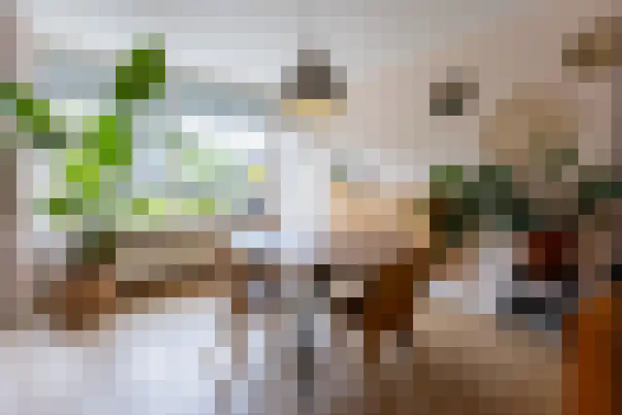 Opperland 4 Bergen op Zoom thumbnail 9