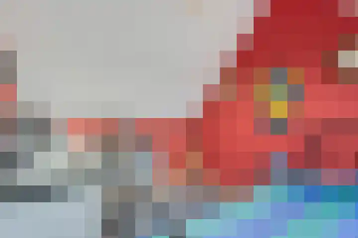 Oppermoeren 1 Breda thumbnail 22