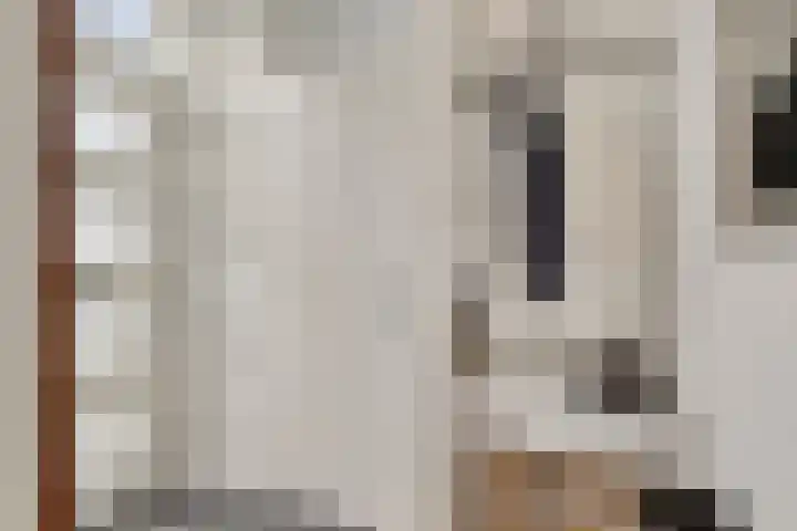 Oppermoeren 1 Breda thumbnail 38