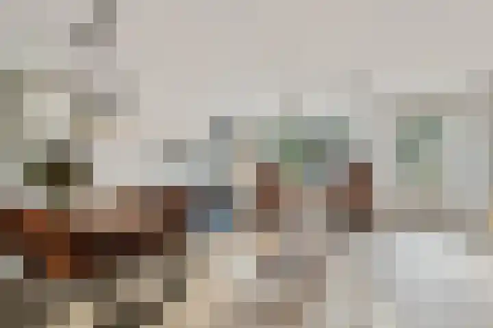 Oppermoeren 1 Breda thumbnail 6