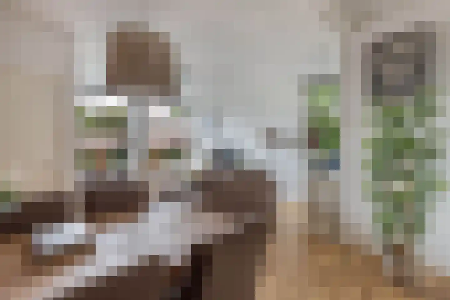 Oppers 47 Wolvega thumbnail 11