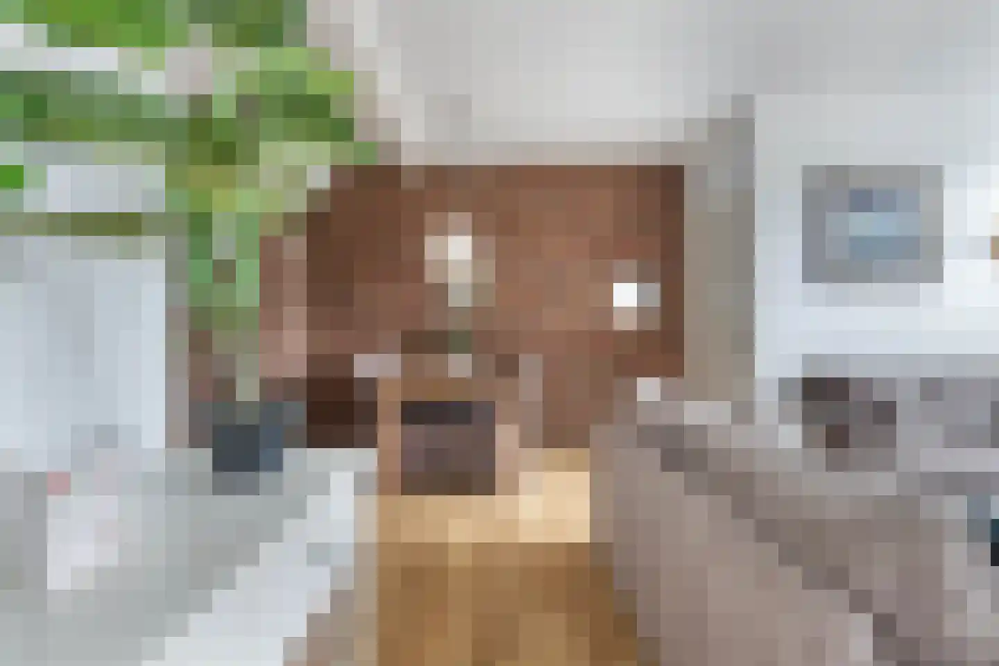 Oppers 47 Wolvega thumbnail 13