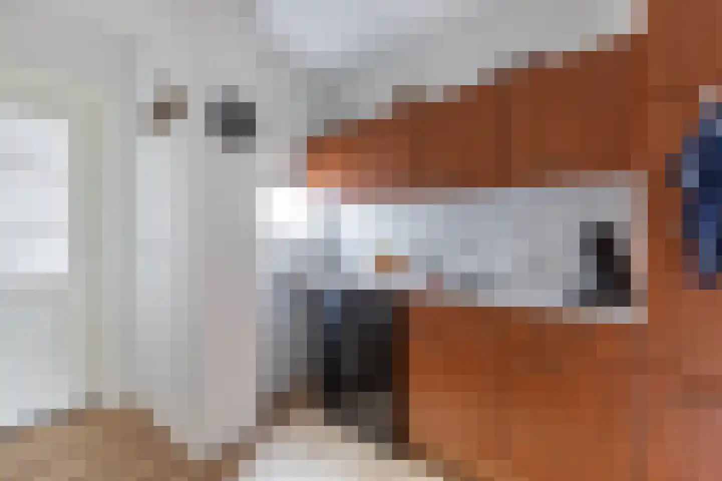 Oppers 47 Wolvega thumbnail 16