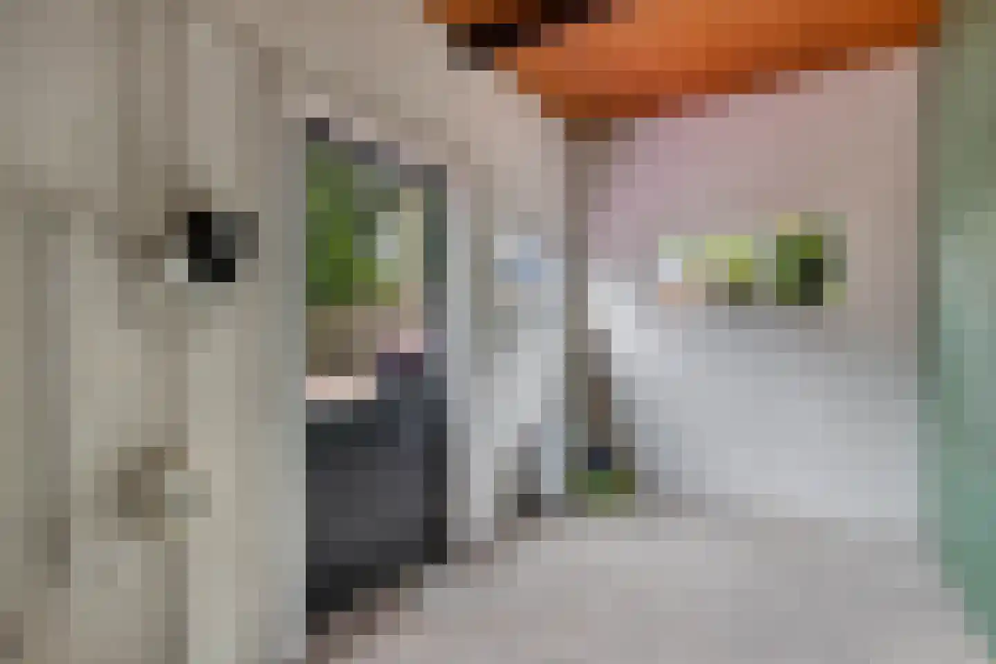 Oppers 47 Wolvega thumbnail 18