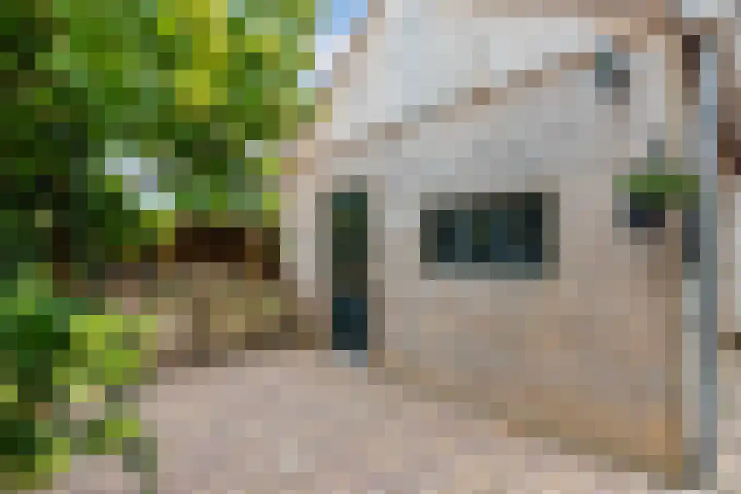 Oppers 47 Wolvega thumbnail 41