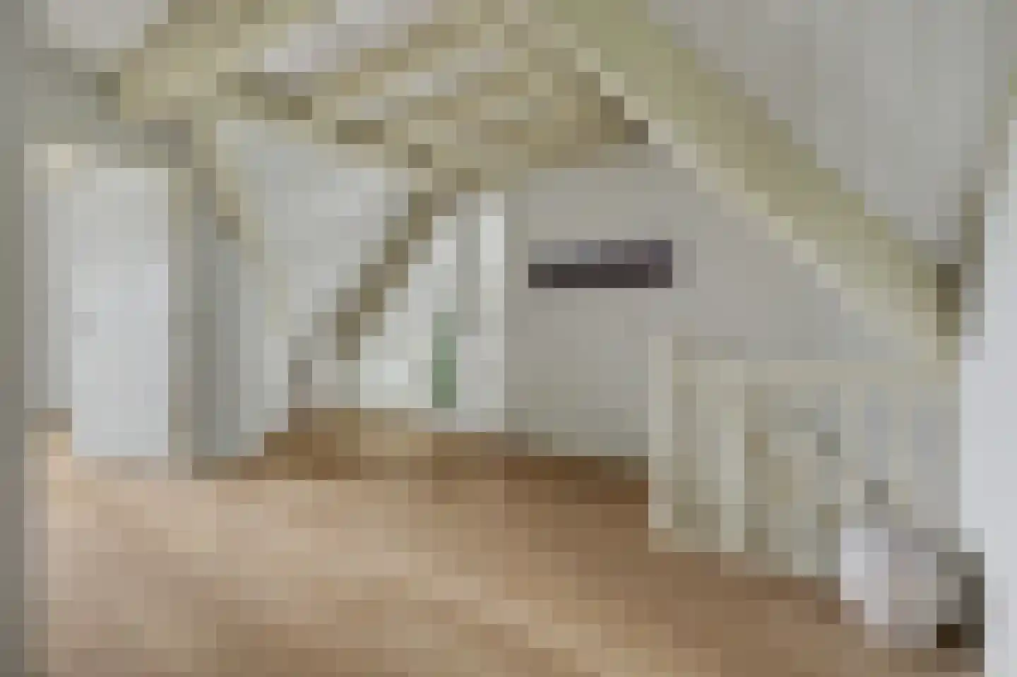 Oppershof 14 's-Hertogenbosch thumbnail 32