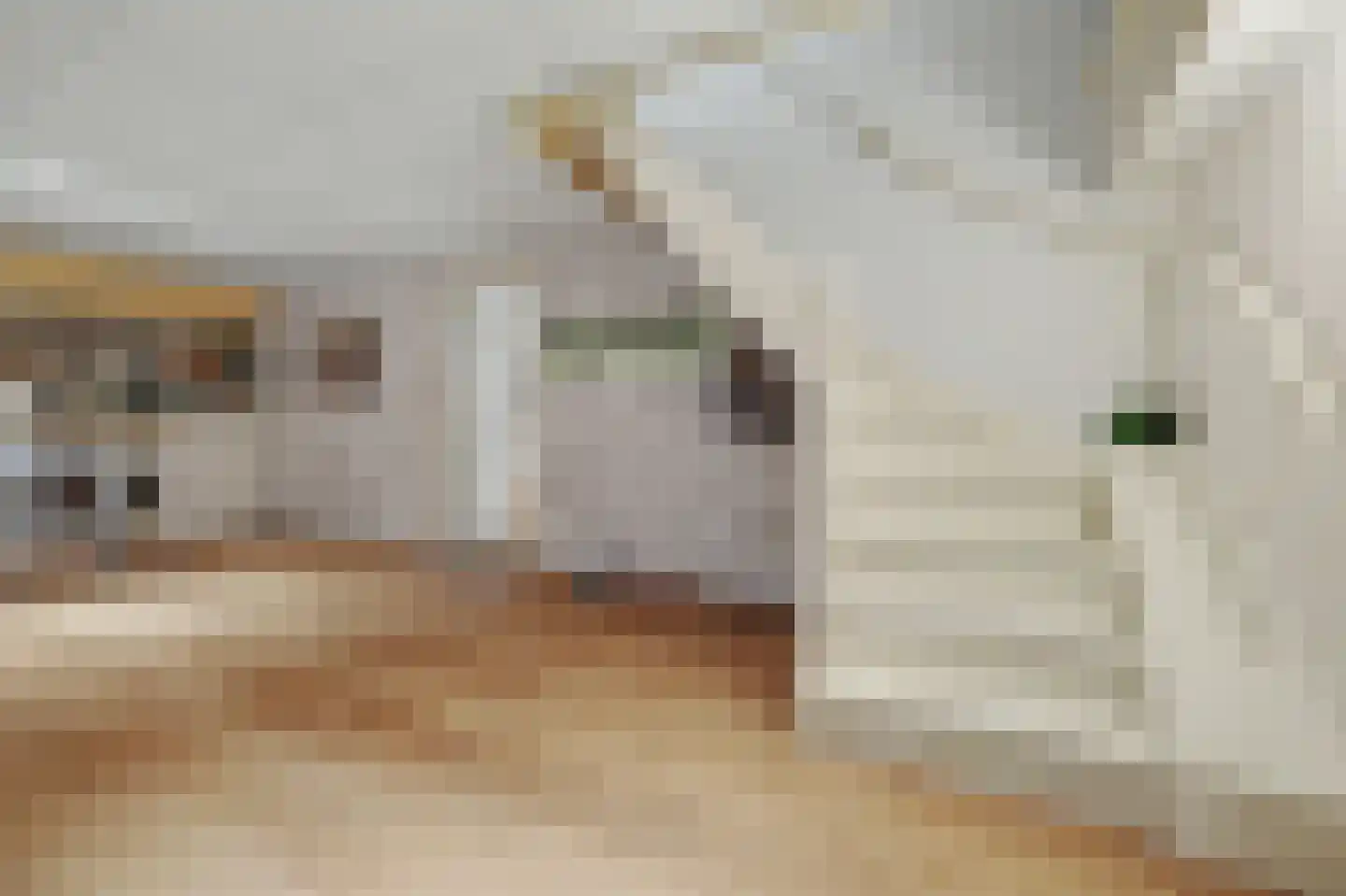 Oppershof 14 's-Hertogenbosch thumbnail 36