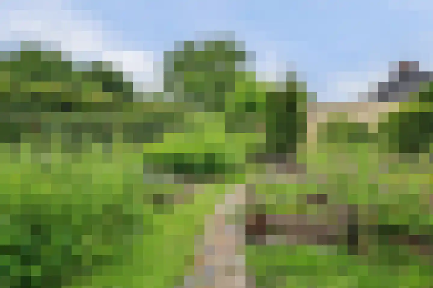 Oppershof 14 's-Hertogenbosch thumbnail 53