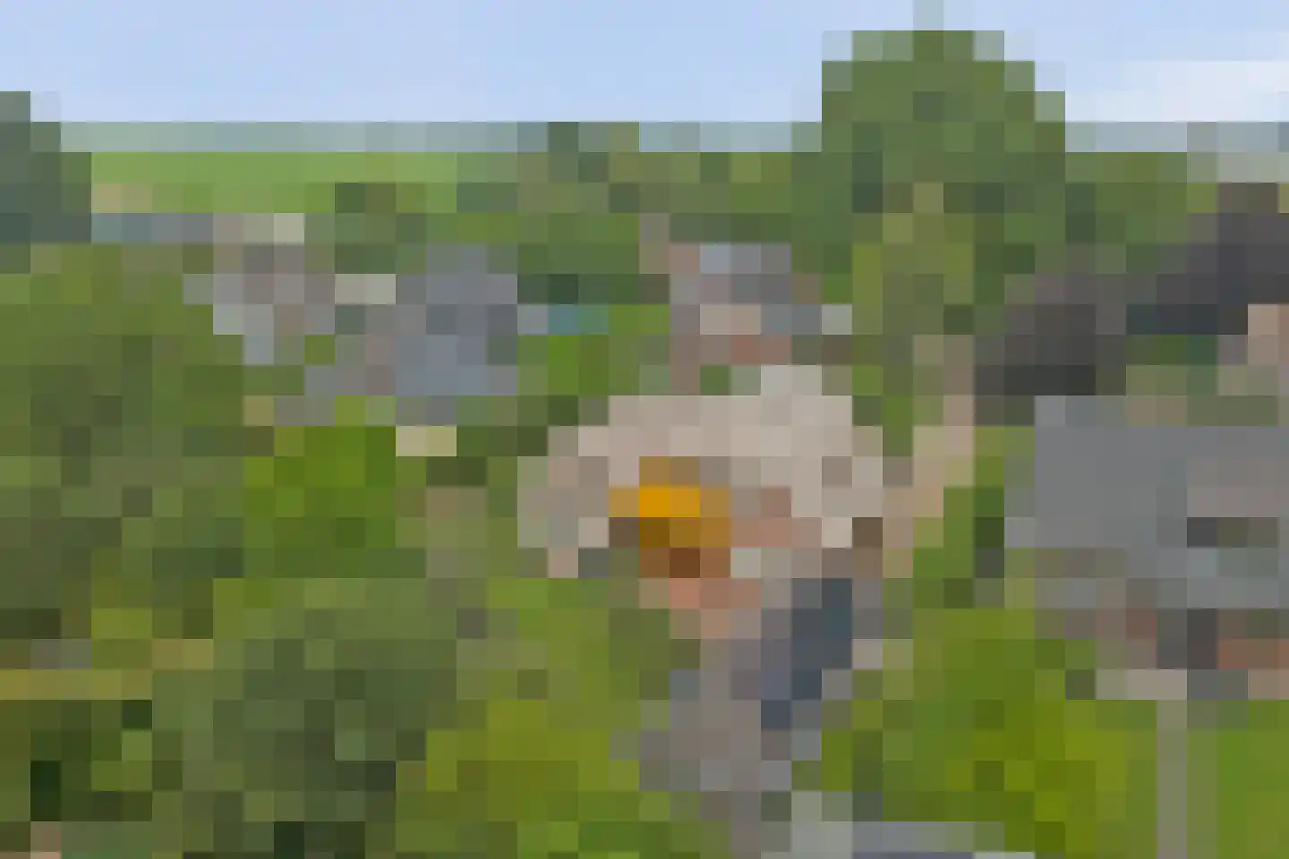 Oppershof 14 's-Hertogenbosch thumbnail 57