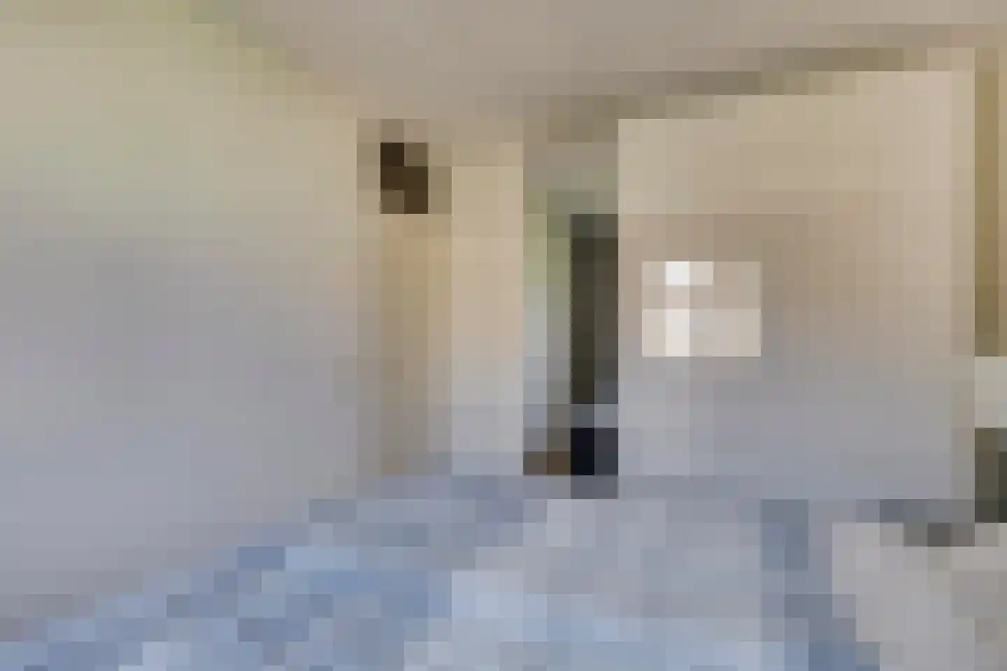 Opperstehei 3 Veldhoven thumbnail 17