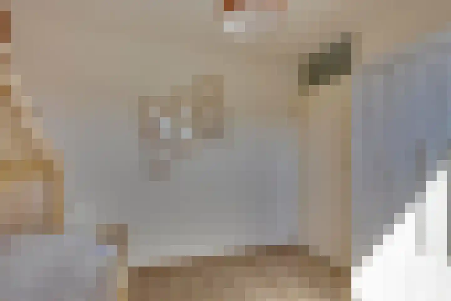 Opperstehei 3 Veldhoven thumbnail 19