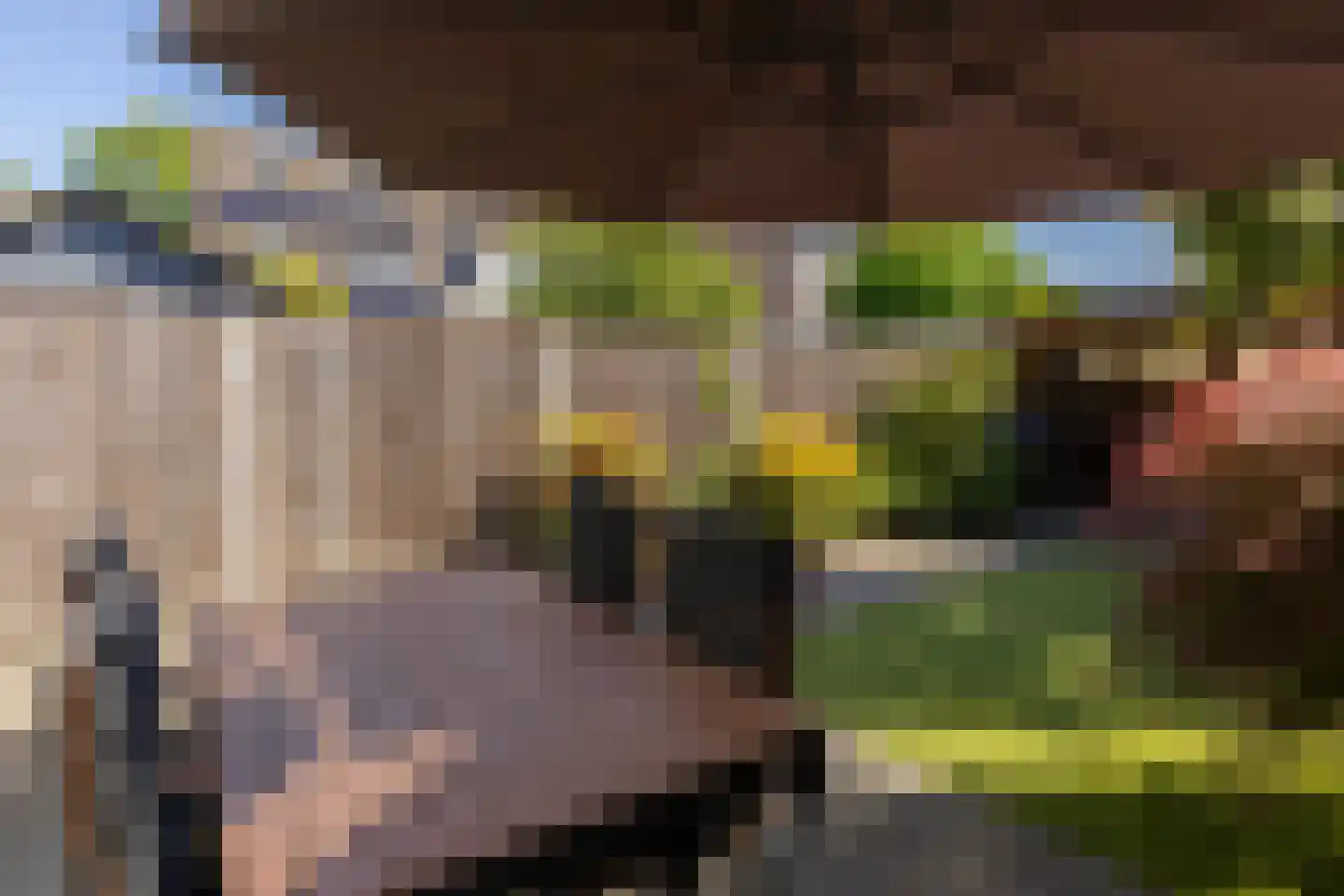 Opperstehei 3 Veldhoven thumbnail 29