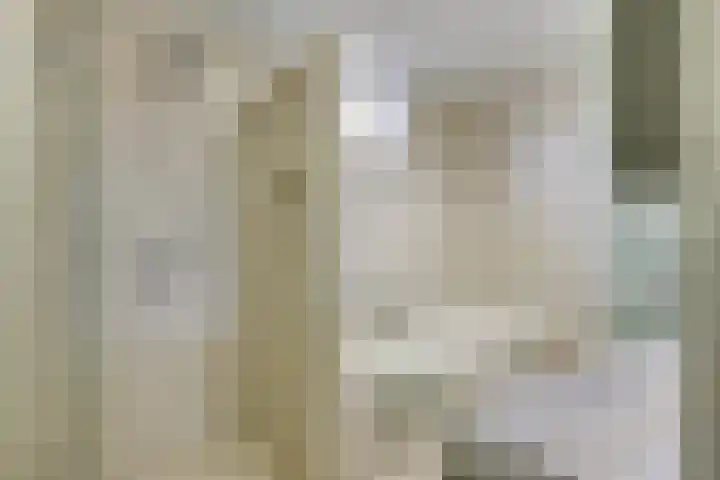 Opperstehei 46 Veldhoven thumbnail 23