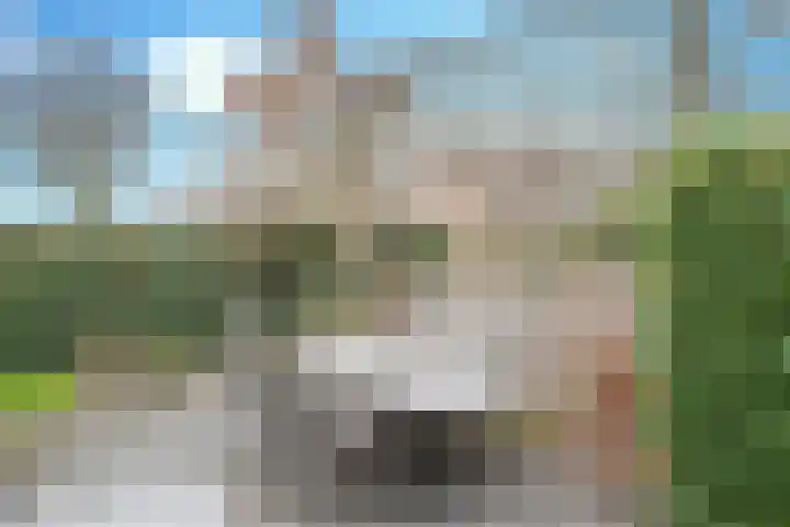 Opperstehei 46 Veldhoven thumbnail 33