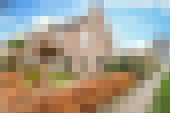 Opperstehei 46 Veldhoven thumbnail 37