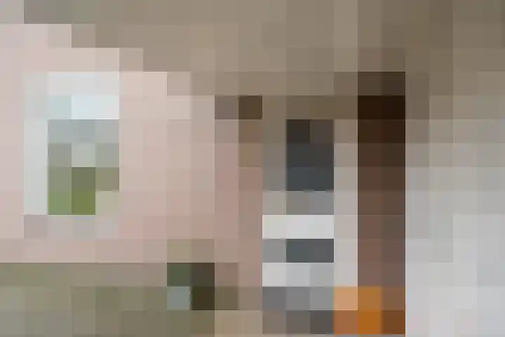 Opperstehei 46 Veldhoven thumbnail 4