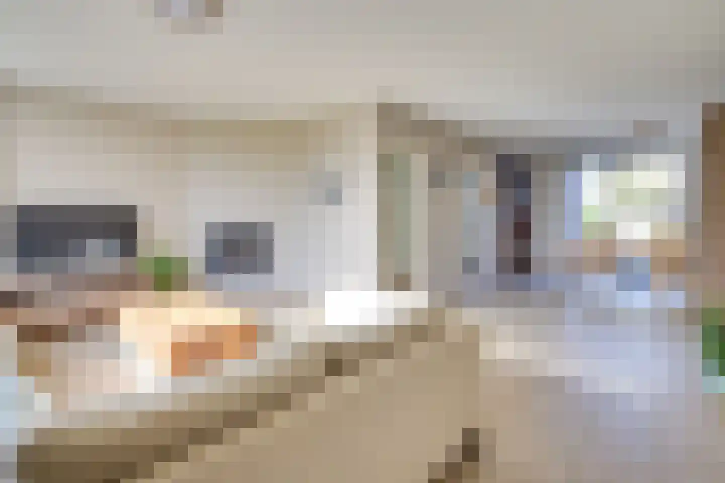 Opperstehei 8 Veldhoven thumbnail 10