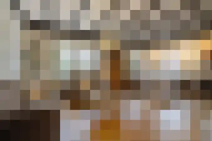 Opperstraat 12 Hoeven thumbnail 13