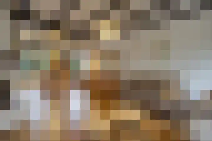 Opperstraat 12 Hoeven thumbnail 14