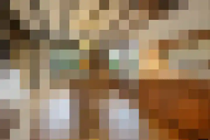 Opperstraat 12 Hoeven thumbnail 16