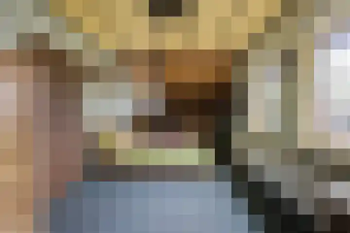 Opperstraat 12 Hoeven thumbnail 26