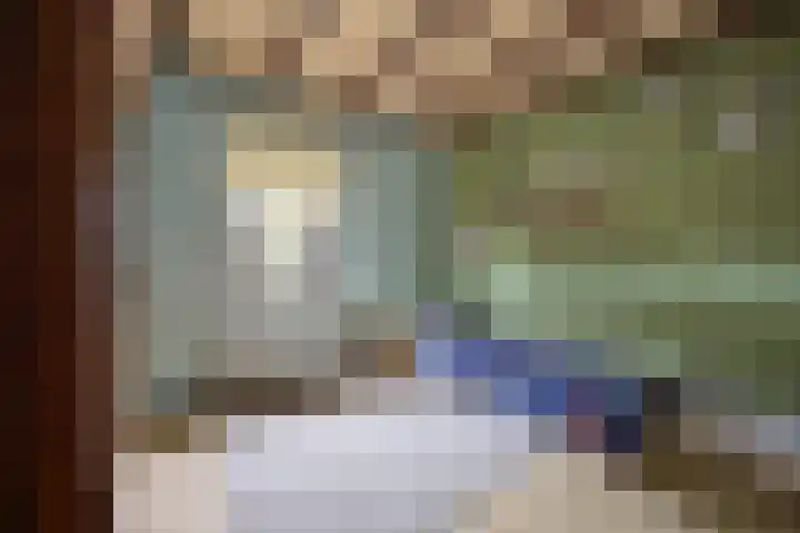 Opperstraat 12 Hoeven thumbnail 32
