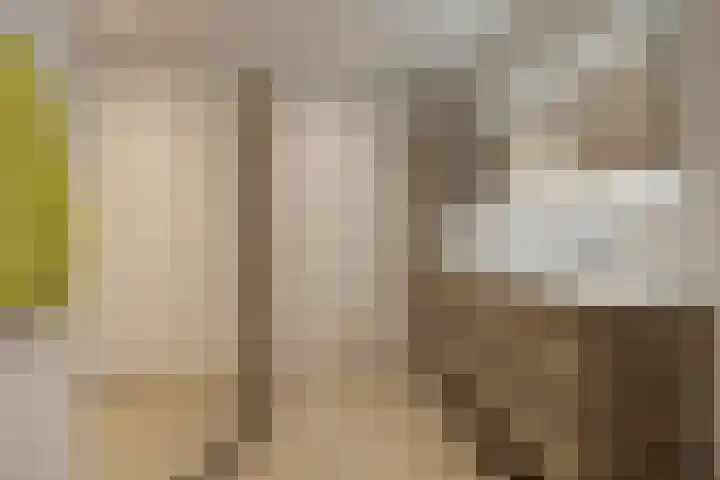Opperstraat 12 Hoeven thumbnail 39