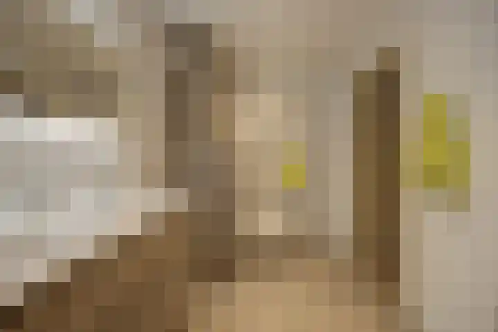Opperstraat 12 Hoeven thumbnail 41