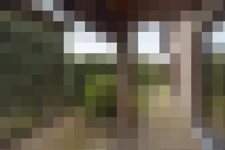 Opperstraat 12 Hoeven thumbnail 46