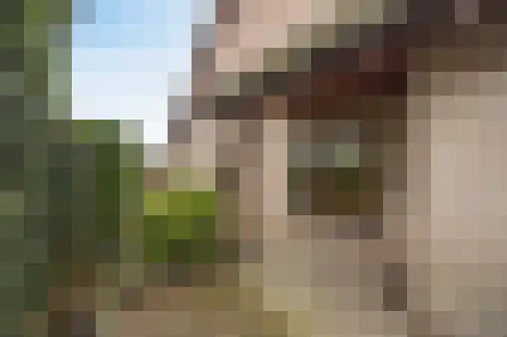 Opperstraat 12 Hoeven thumbnail 47