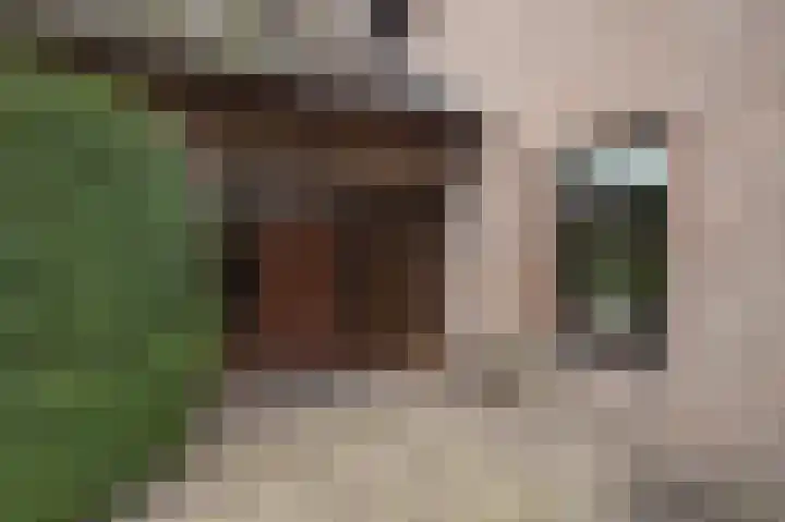 Opperstraat 12 Hoeven thumbnail 6