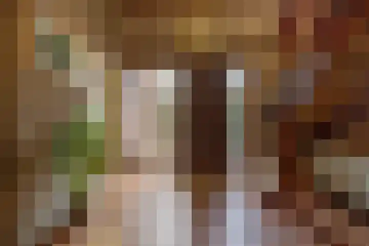 Opperstraat 12 Hoeven thumbnail 7
