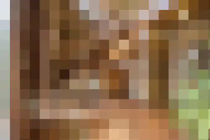 Opperstraat 12 Hoeven thumbnail 8