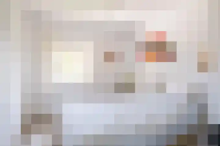 Opperstraat 5 Oud Gastel thumbnail 33