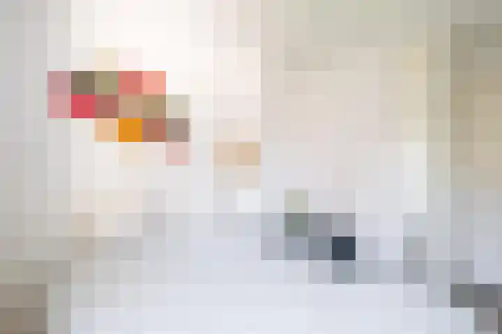 Opperstraat 5 Oud Gastel thumbnail 34