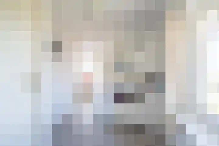 Opperstraat 5 Oud Gastel thumbnail 35