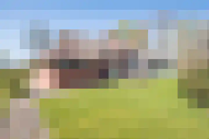 Opperstraat 5 Oud Gastel thumbnail 45