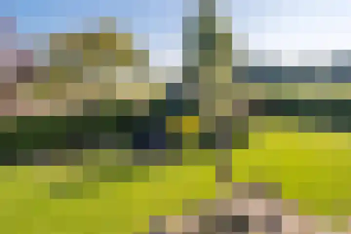 Opperstraat 5 Oud Gastel thumbnail 47