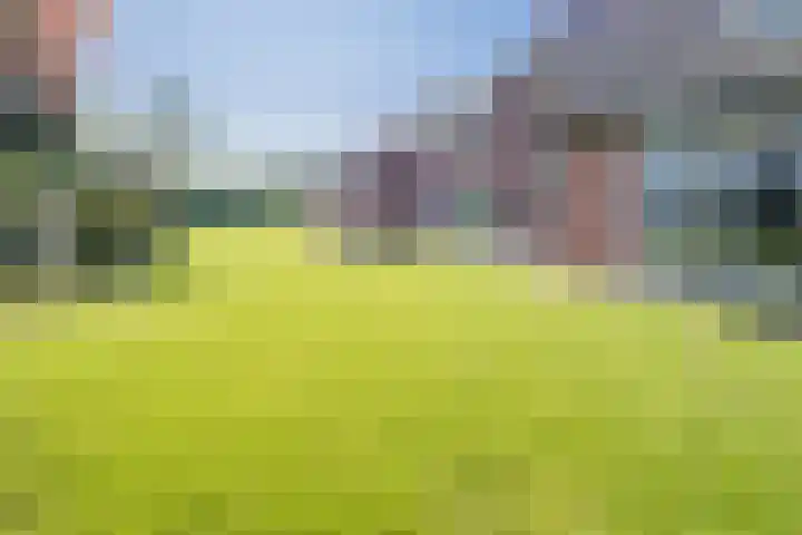 Opperstraat 5 Oud Gastel thumbnail 48