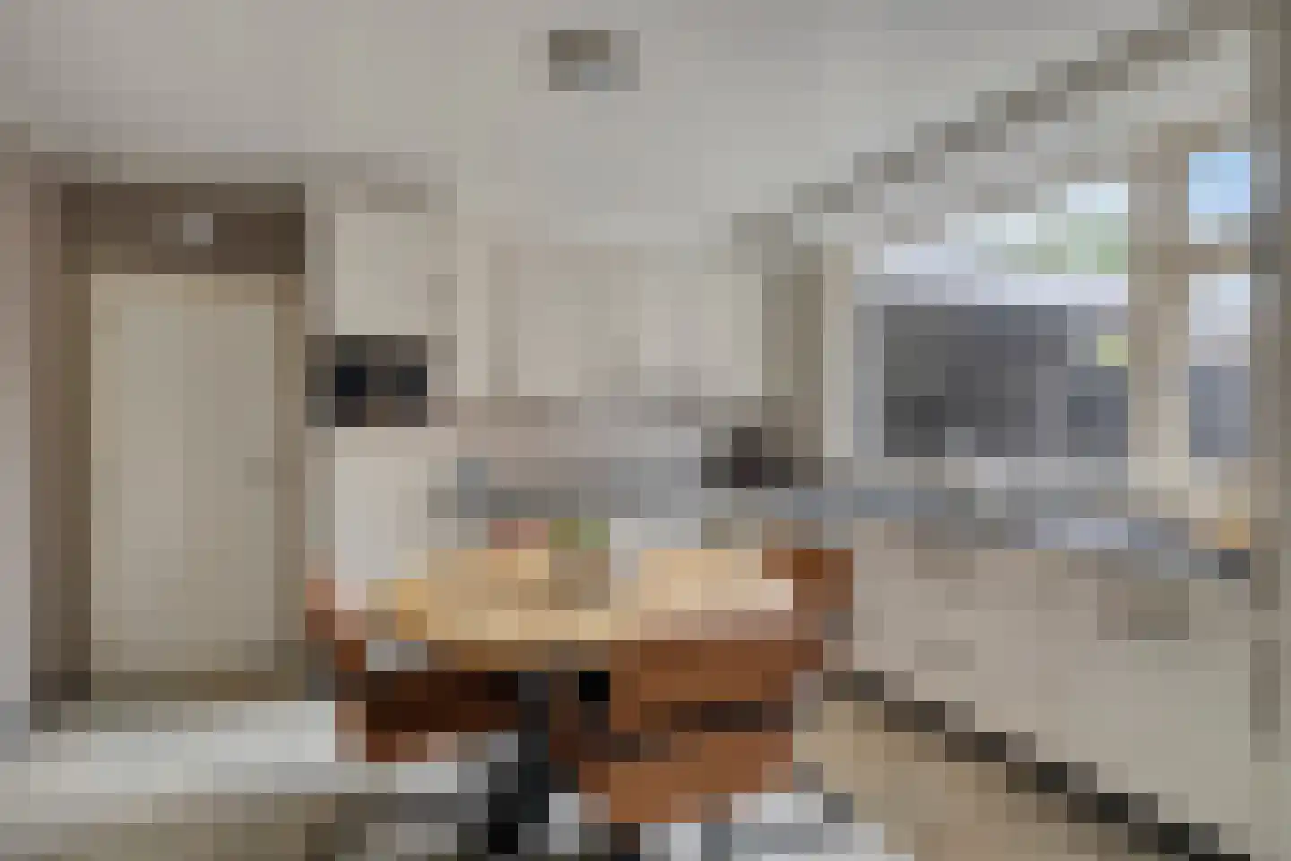 Opperstraat 8 Hoeven thumbnail 16