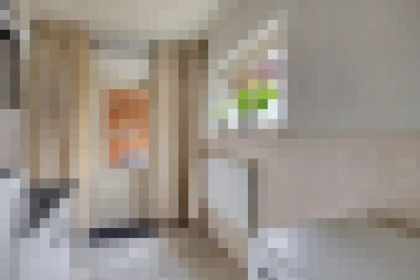 Opperstraat 8 Hoeven thumbnail 21
