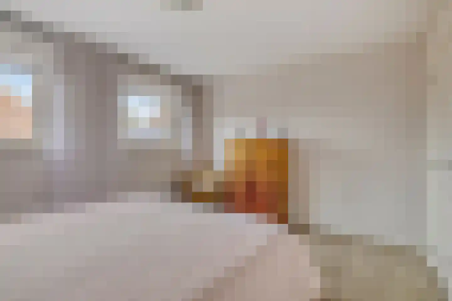 Opperstraat 8 Hoeven thumbnail 27