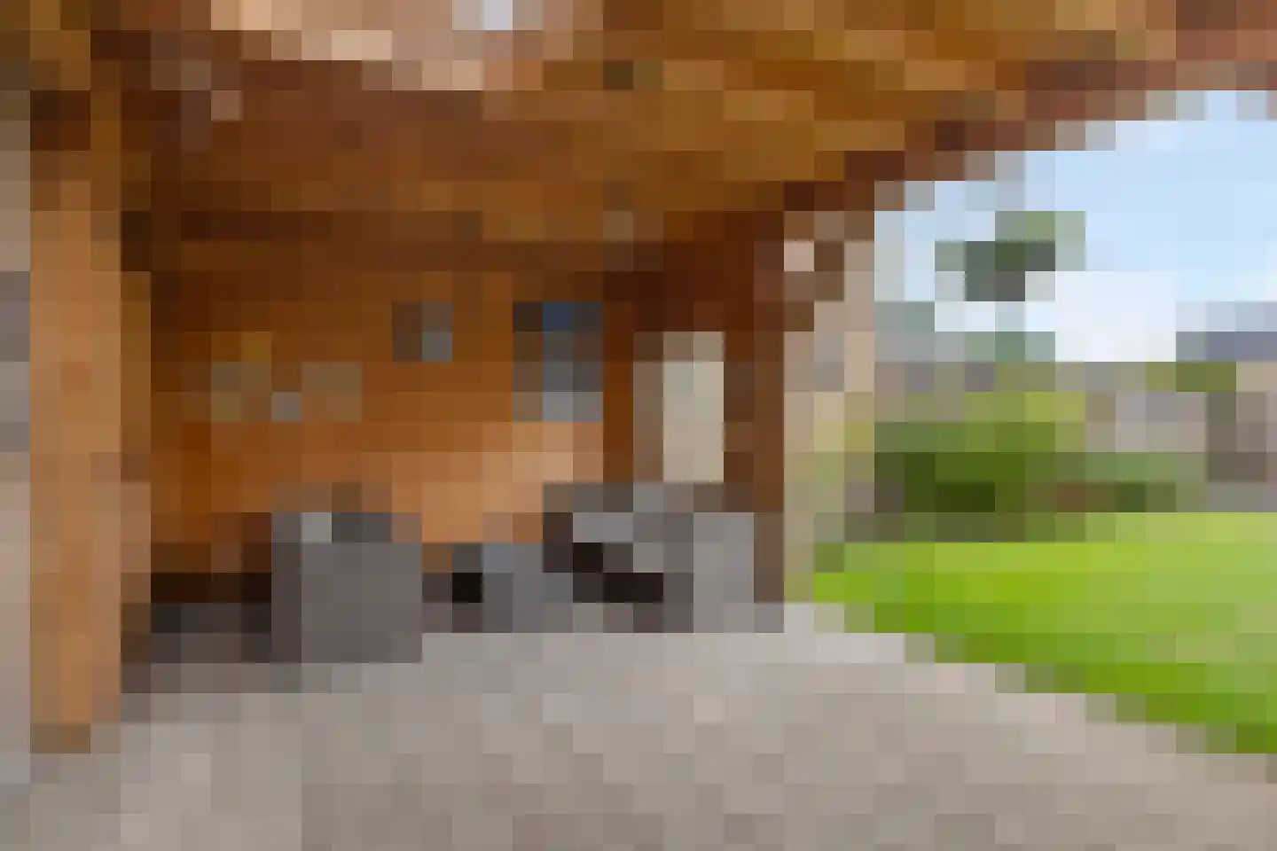 Opperstraat 8 Hoeven thumbnail 36