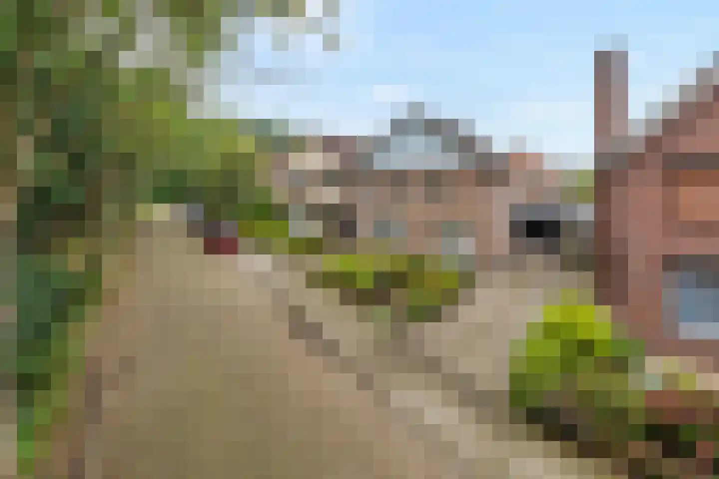 Opperstraat 8 Hoeven thumbnail 51