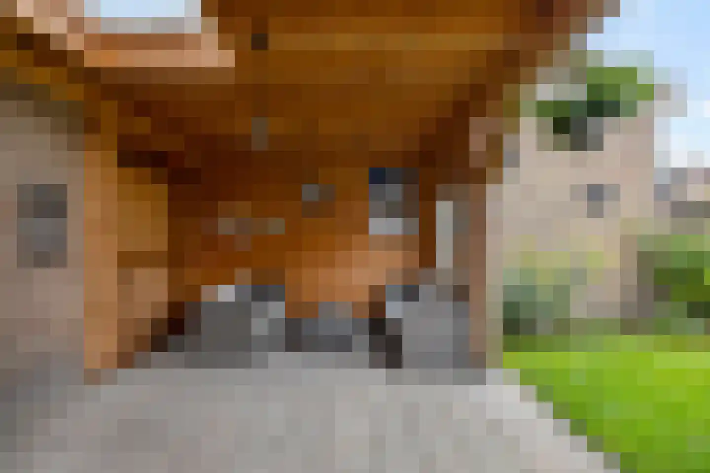 Opperstraat 8 Hoeven thumbnail 8