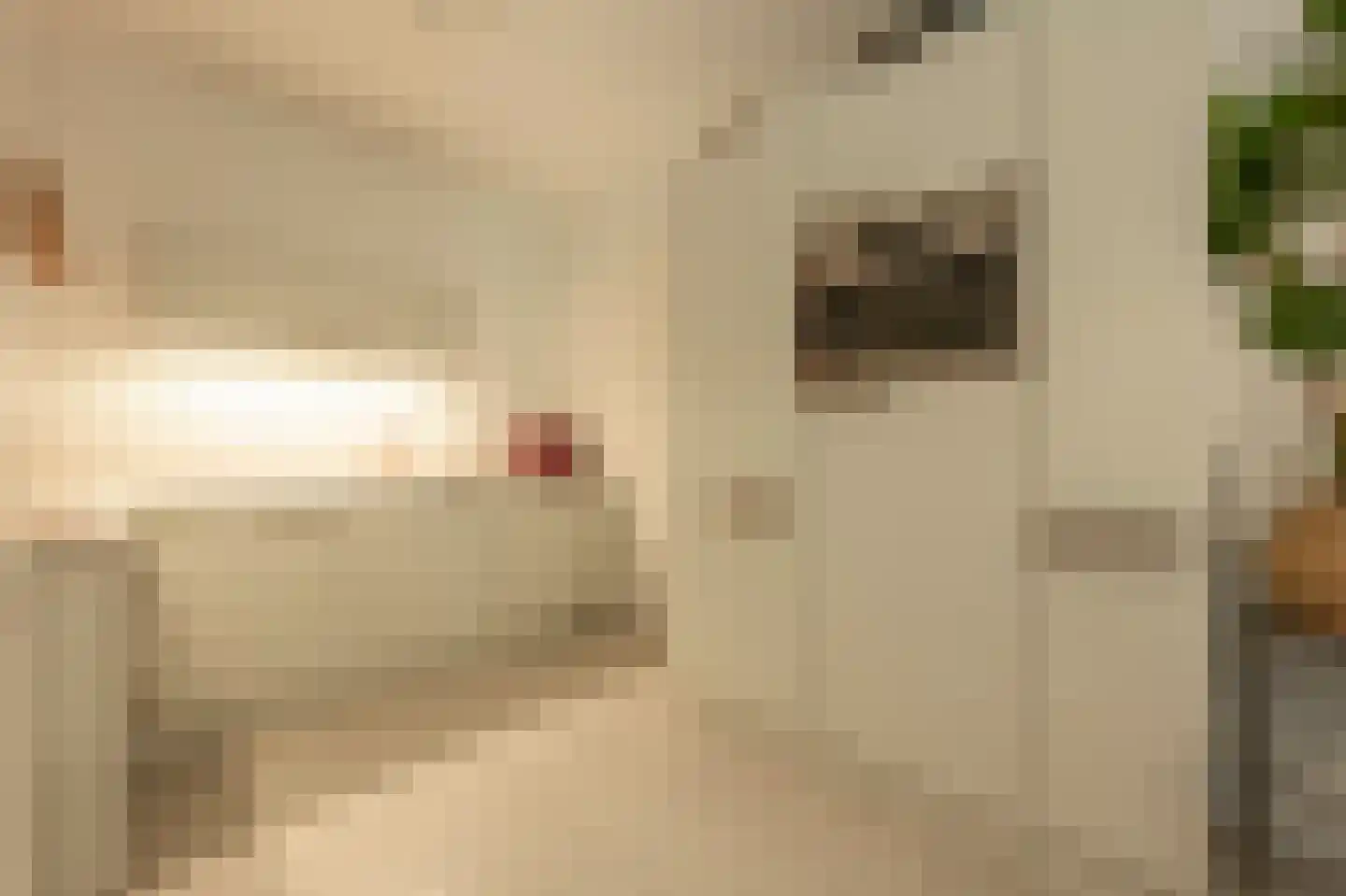 Oppert 116 Rotterdam thumbnail 13