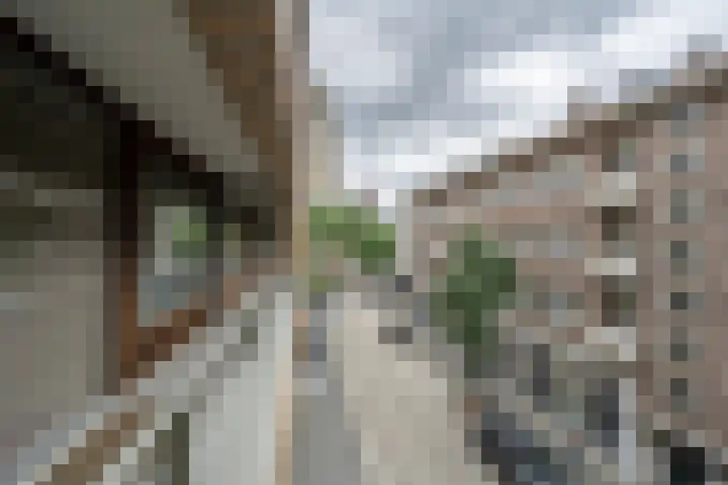 Oppert 116 Rotterdam thumbnail 24