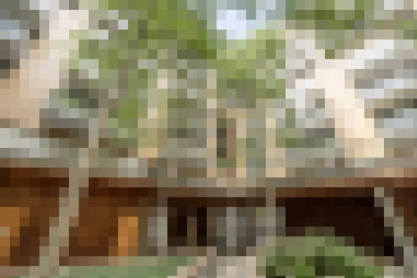 Oppert 116 Rotterdam thumbnail 28
